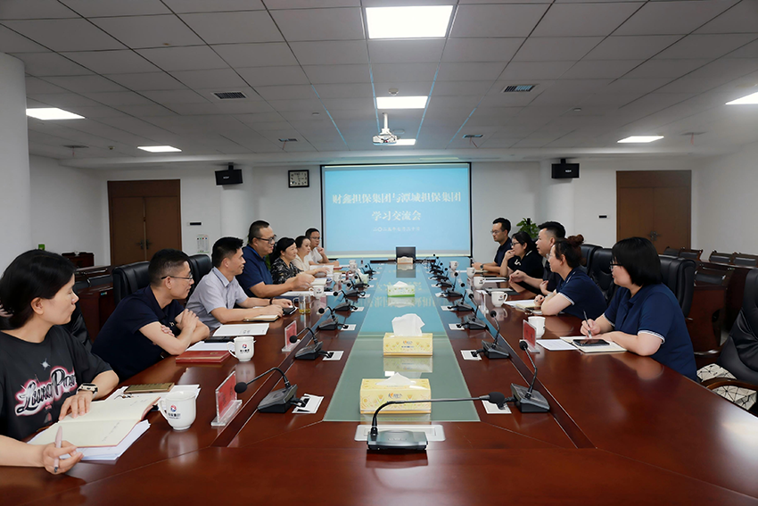 擔(dān)保面對(duì)面：共探科技賦能與高質(zhì)量發(fā)展新路徑